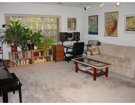 141 Lake Shore Road, Unit 3 Boston, MA 02135 - Photo 2 of 20 a living room with furniture and a potted plant