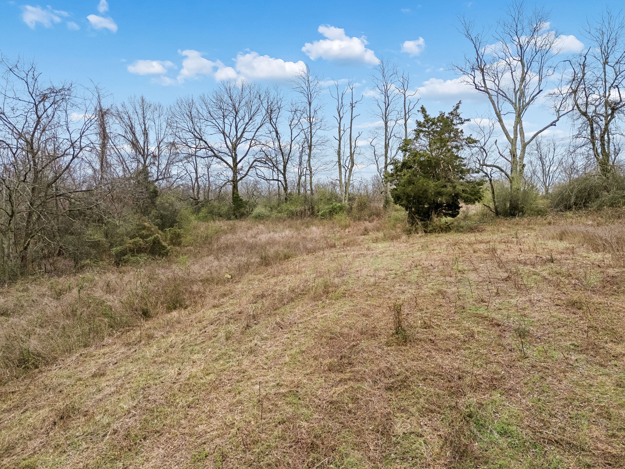 4094 Akin Ridge Road Williamsport, TN 38487 - Photo 20 of 94 Gallery Image 20