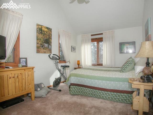 364 Stagecoach Road Guffey, CO 80820 - Photo 19 of 35 Gallery Image 19