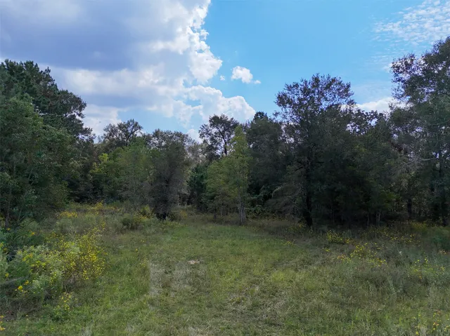 $1,700,000 | 1108 Miracle Drive, Conroe, TX 77301