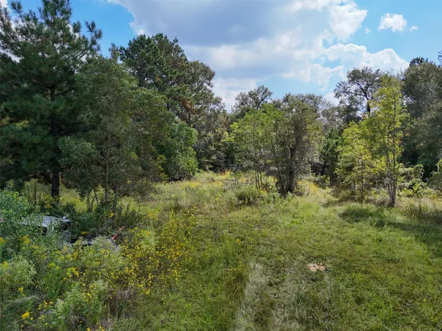 $1,700,000 | 1108 Miracle Drive, Conroe, TX 77301