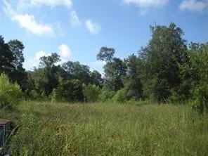 $1,700,000 | 1108 Miracle Drive, Conroe, TX 77301