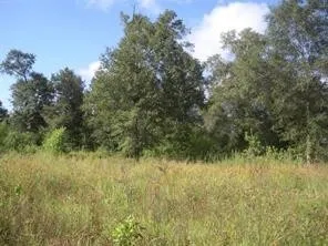 $1,700,000 | 1108 Miracle Drive, Conroe, TX 77301