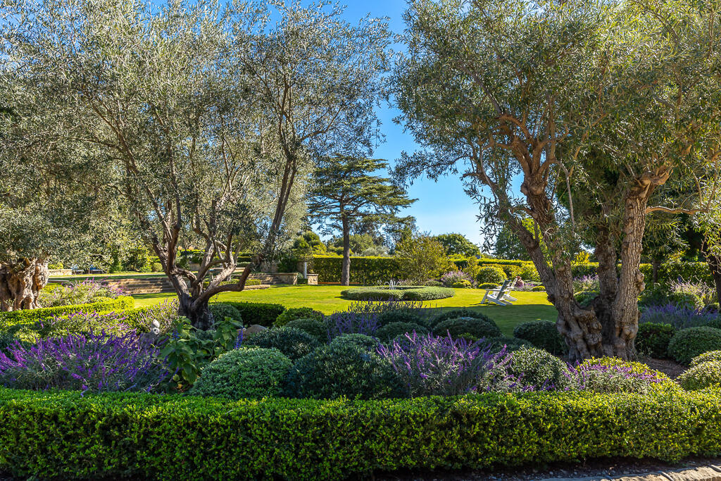 801 Riven Rock Road Montecito, CA 93108 - Photo 27 of 33 a view of a swimming pool with lawn chairs and a large tree