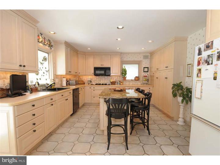 510 Fairview Road Penn Valley, PA 19072 - Photo 4 of 16 Kitchen