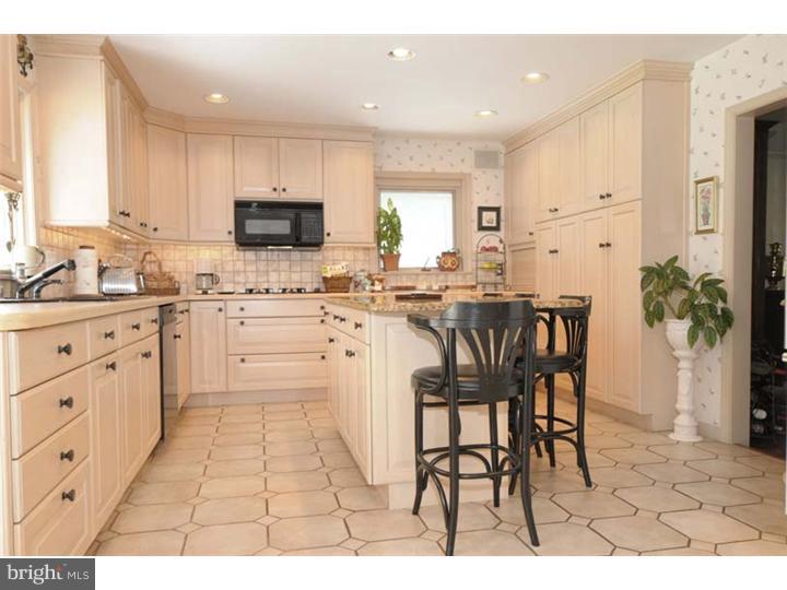 510 Fairview Road Penn Valley, PA 19072 - Photo 5 of 16 Kitchen
