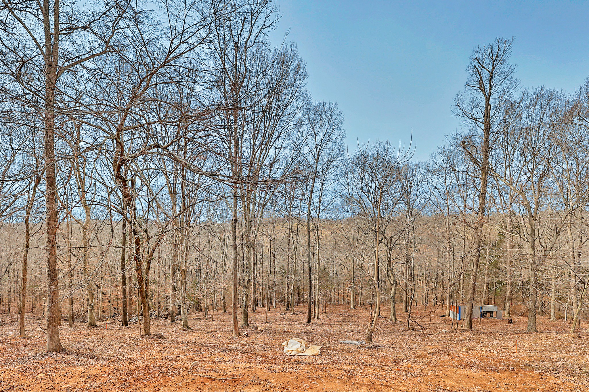 1070 Ben Collier Road Charlotte, TN 37036 - Photo 34 of 35 Gallery Image 34