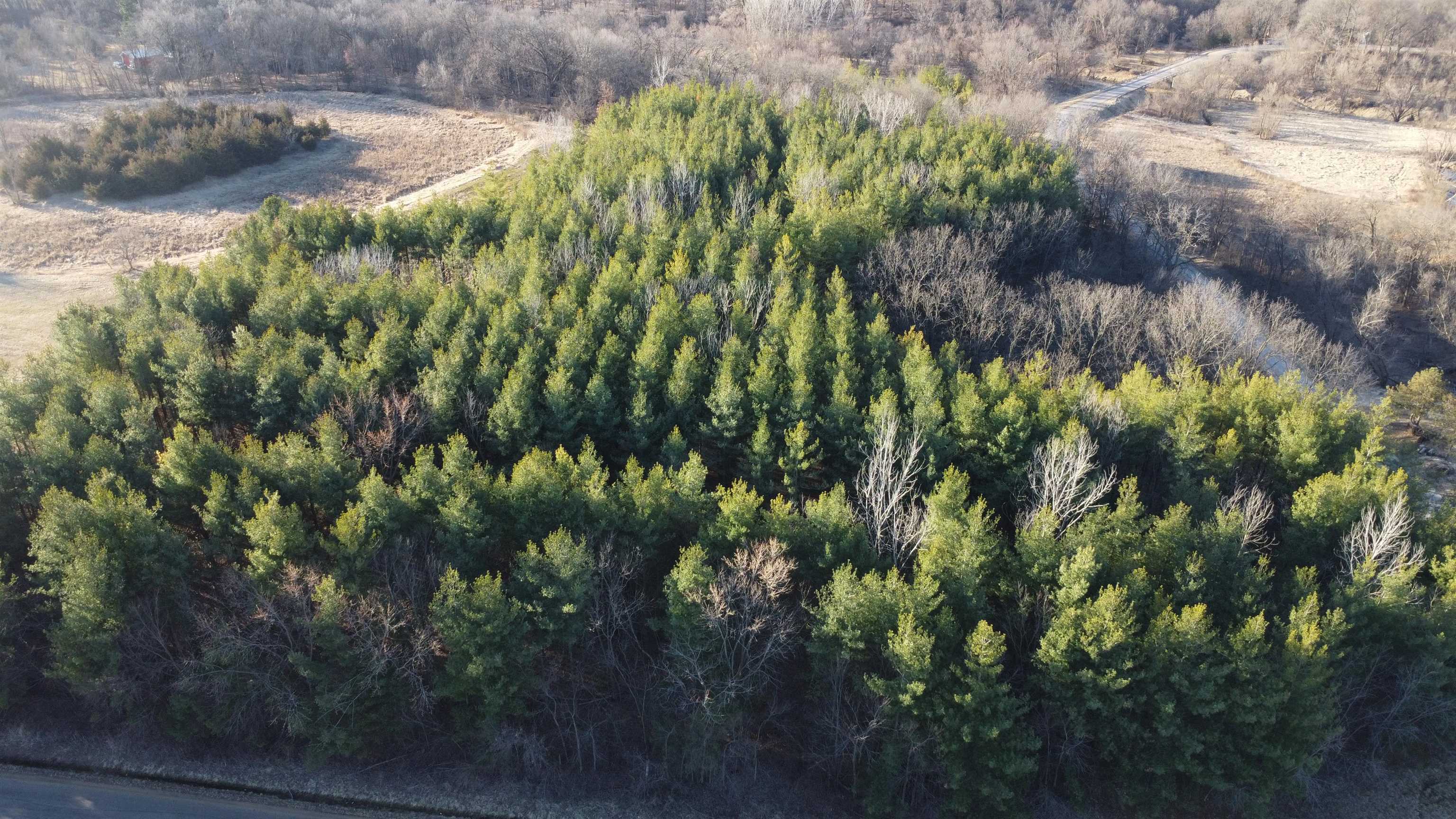 Tbd South Crazy Hollow Road Hanover, IL 61041 - Photo 16 of 47