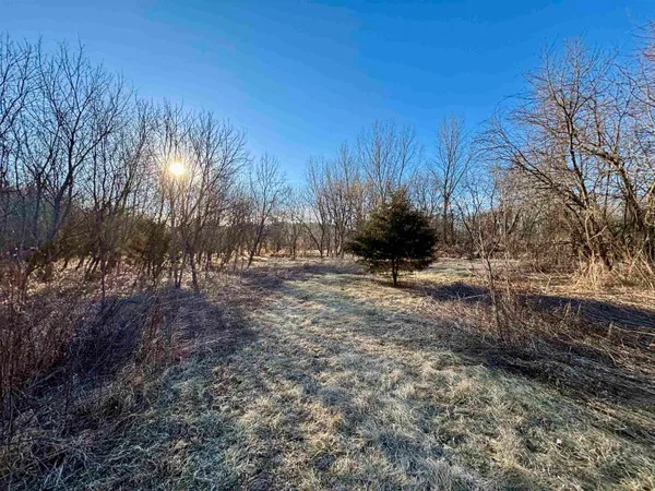 a view of outdoor space and trees