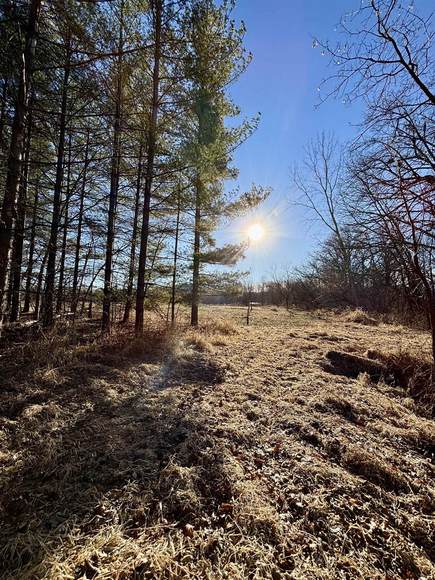 Tbd South Crazy Hollow Road Hanover, IL 61041 - Photo 26 of 47