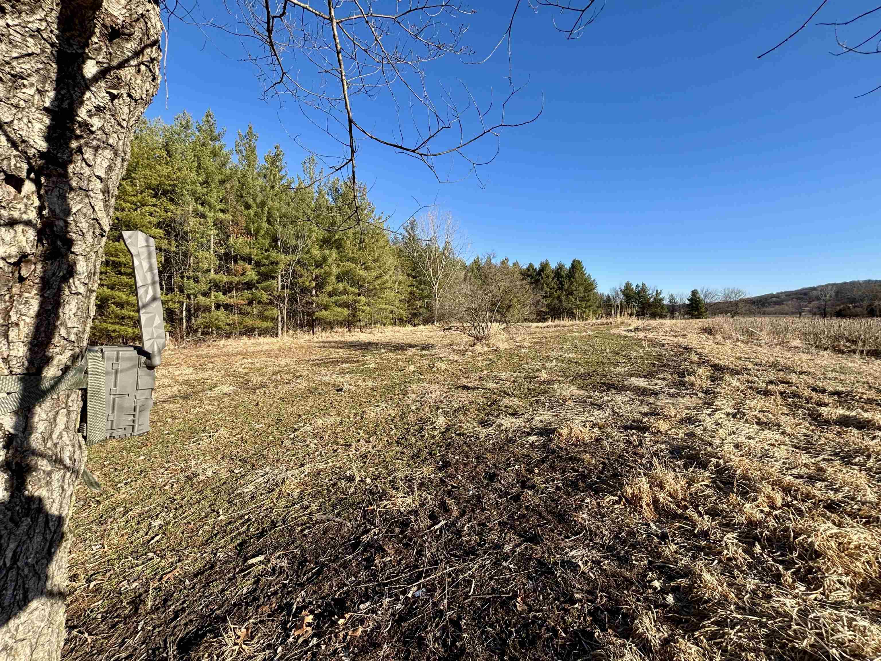 Tbd South Crazy Hollow Road Hanover, IL 61041 - Photo 27 of 47