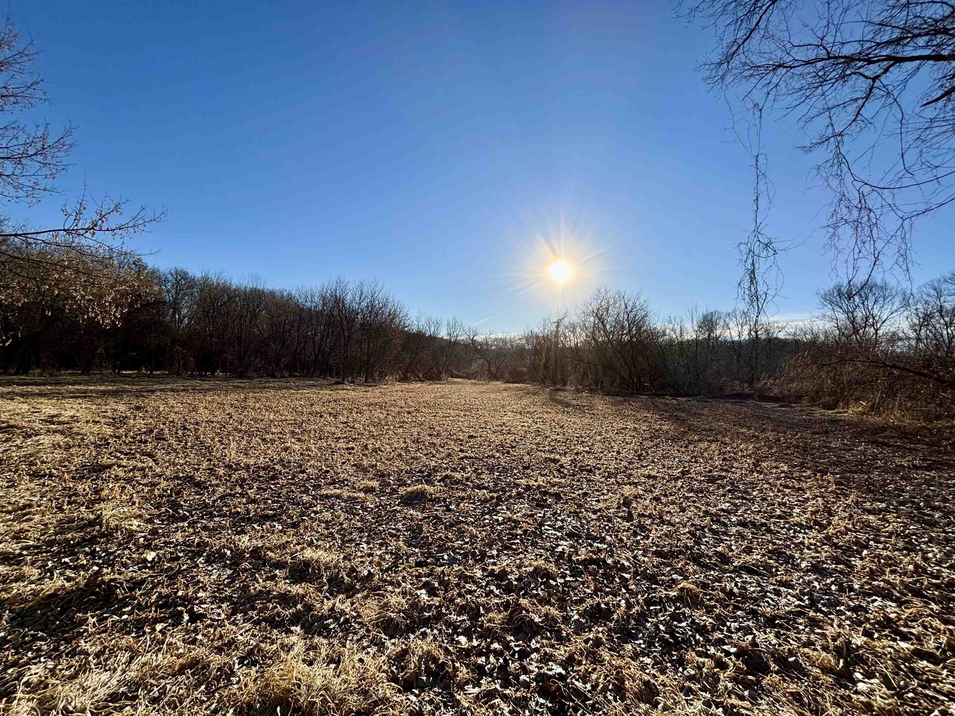 Tbd South Crazy Hollow Road Hanover, IL 61041 - Photo 28 of 47