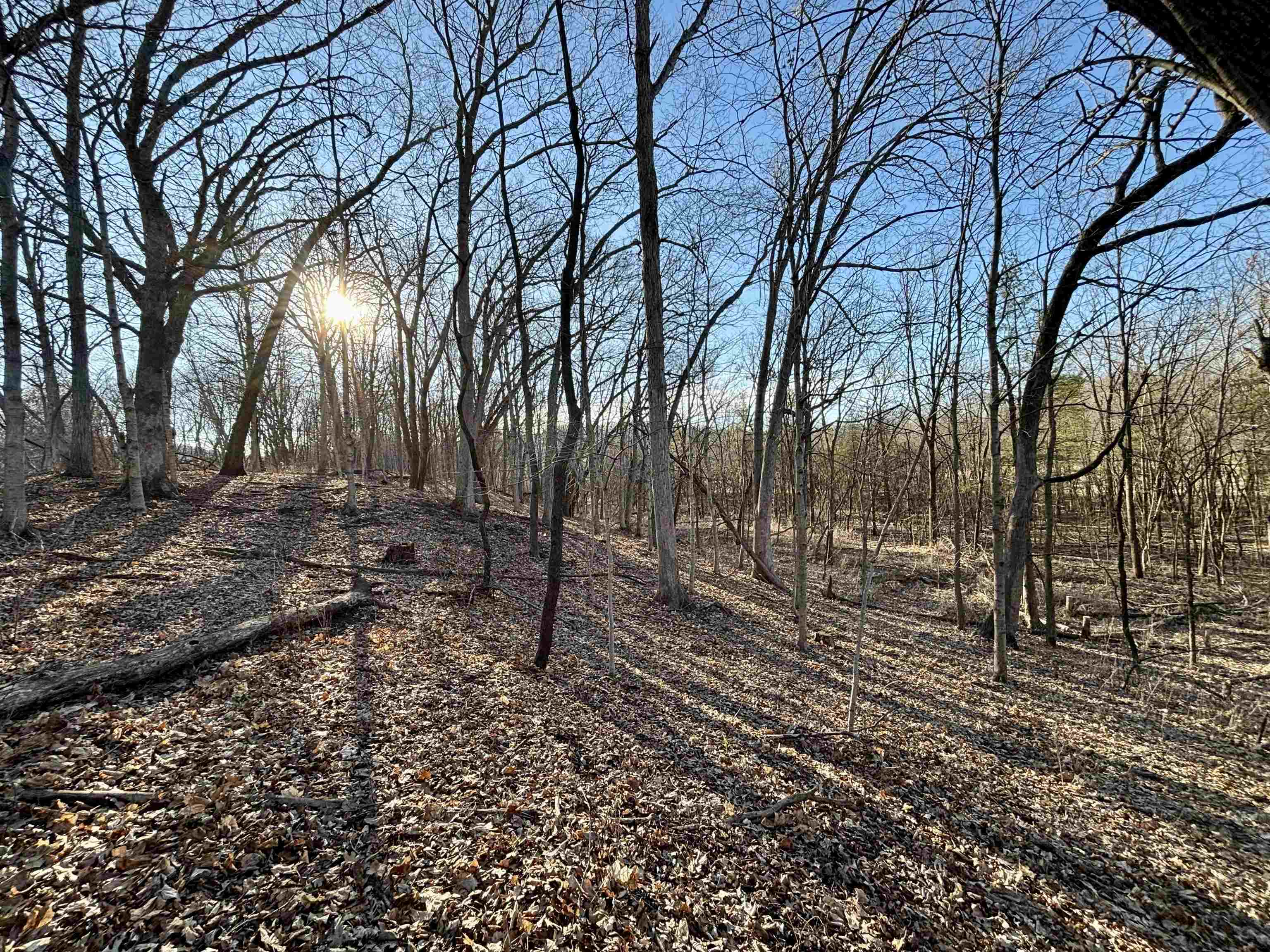 Tbd South Crazy Hollow Road Hanover, IL 61041 - Photo 29 of 47