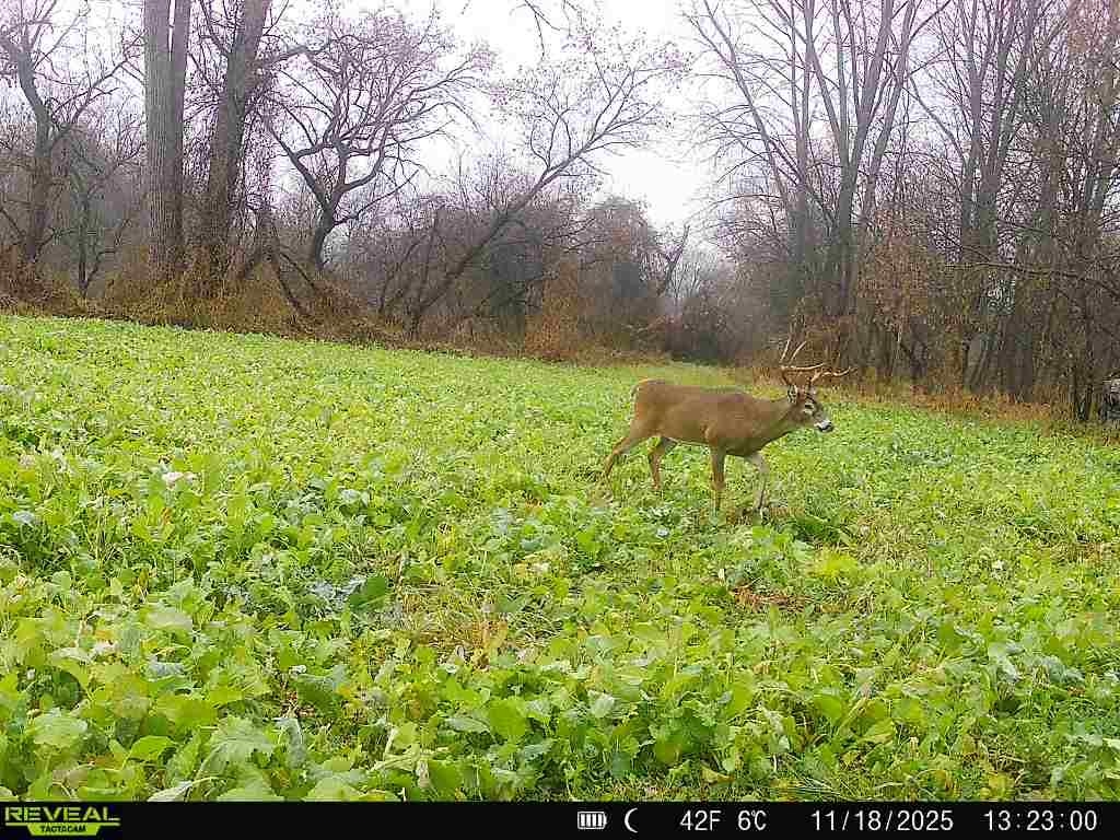 Tbd South Crazy Hollow Road Hanover, IL 61041 - Photo 33 of 47