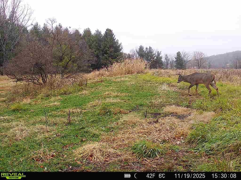 Tbd South Crazy Hollow Road Hanover, IL 61041 - Photo 34 of 47