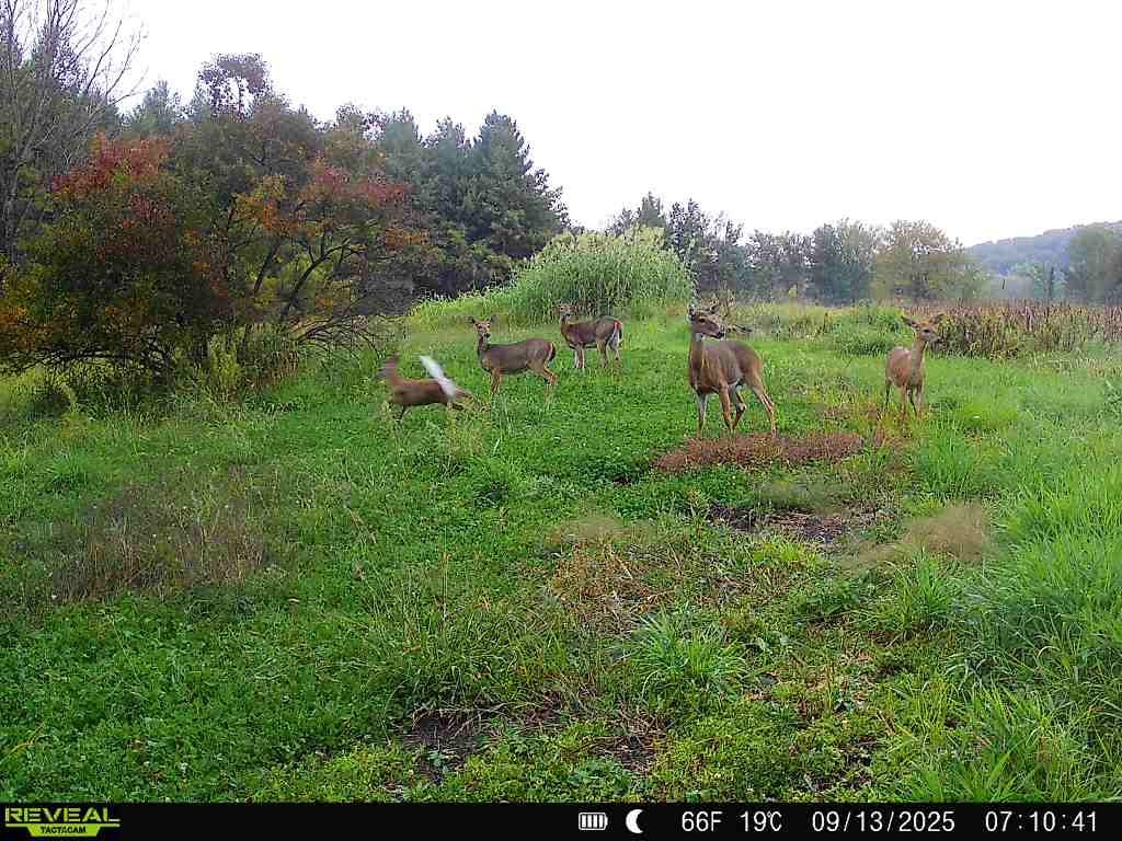 Tbd South Crazy Hollow Road Hanover, IL 61041 - Photo 35 of 47