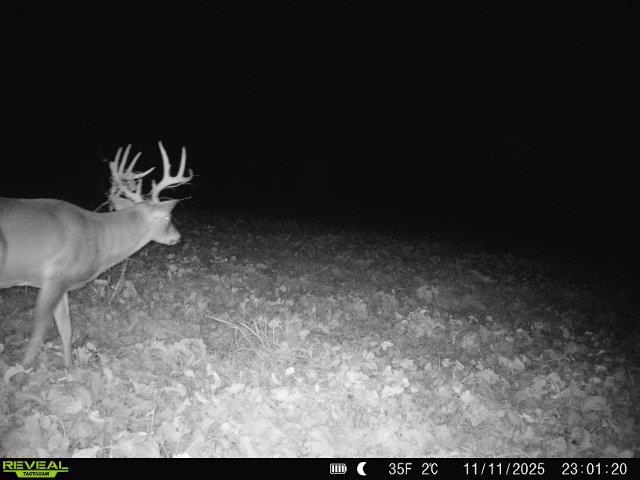 Tbd South Crazy Hollow Road Hanover, IL 61041 - Photo 36 of 47