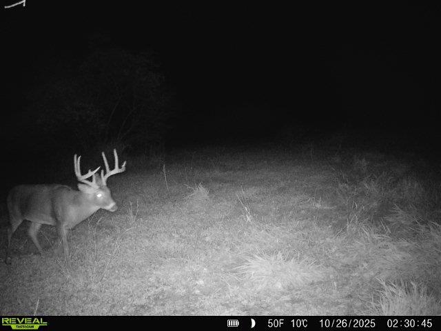 Tbd South Crazy Hollow Road Hanover, IL 61041 - Photo 38 of 47