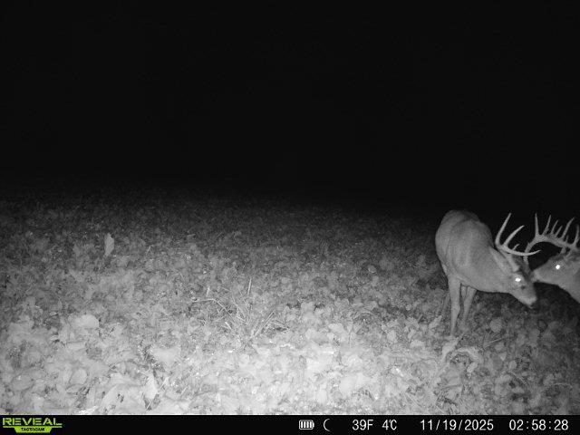 Tbd South Crazy Hollow Road Hanover, IL 61041 - Photo 39 of 47