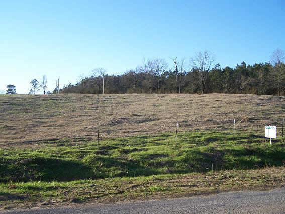 0 Scr 60 Road Mize, MS 39116 - Photo 1 of 1 Photo 1