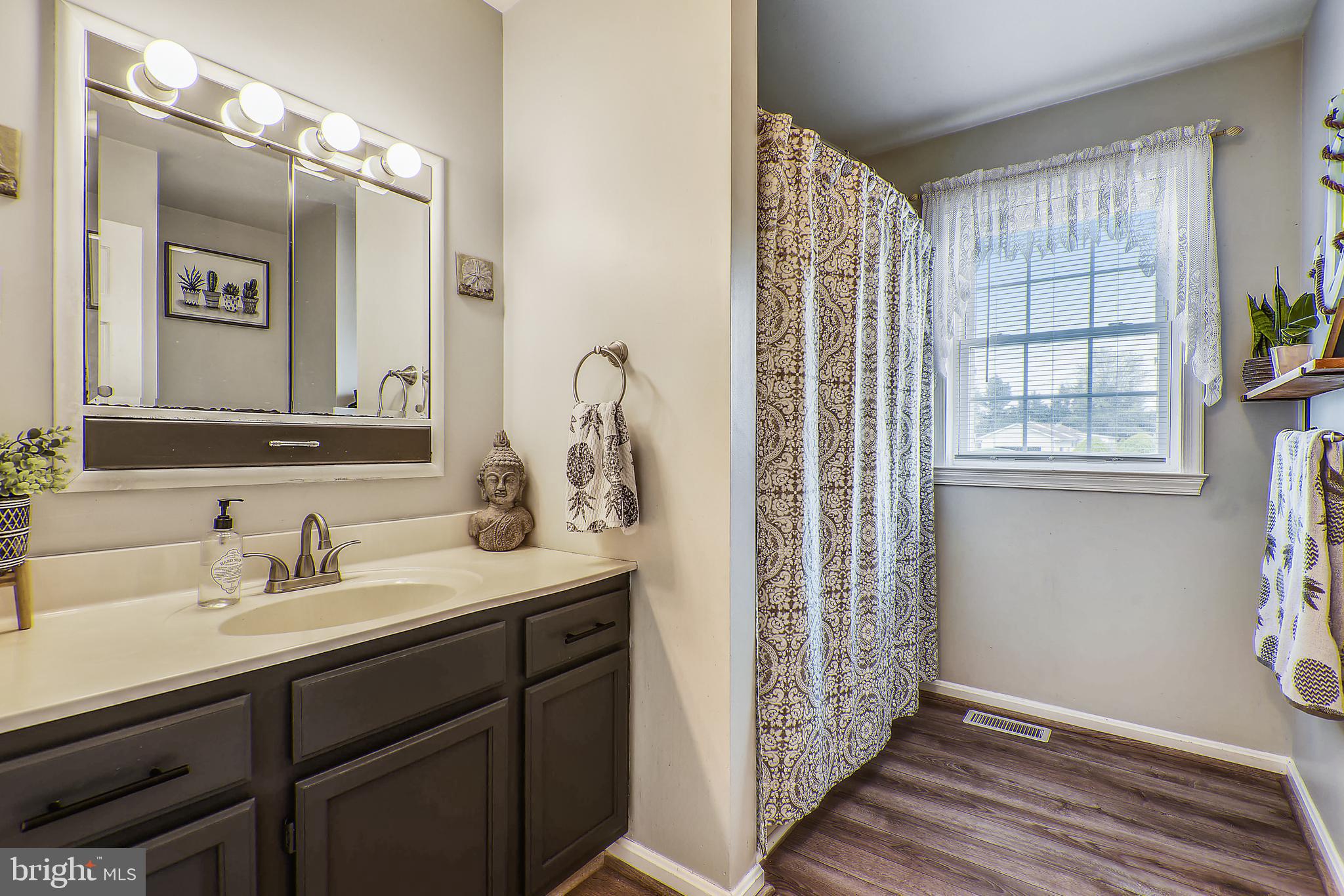 12845 Irelands Corner Road Galena, MD 21635 - Photo 19 of 54 Contemporary main level Bath.