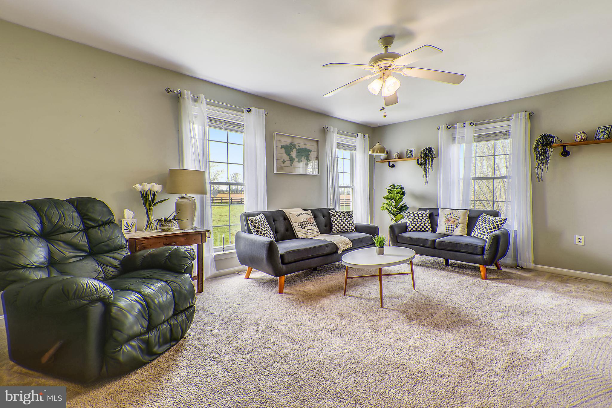 12845 Irelands Corner Road Galena, MD 21635 - Photo 8 of 54 Large living room w/ abundant natural light.