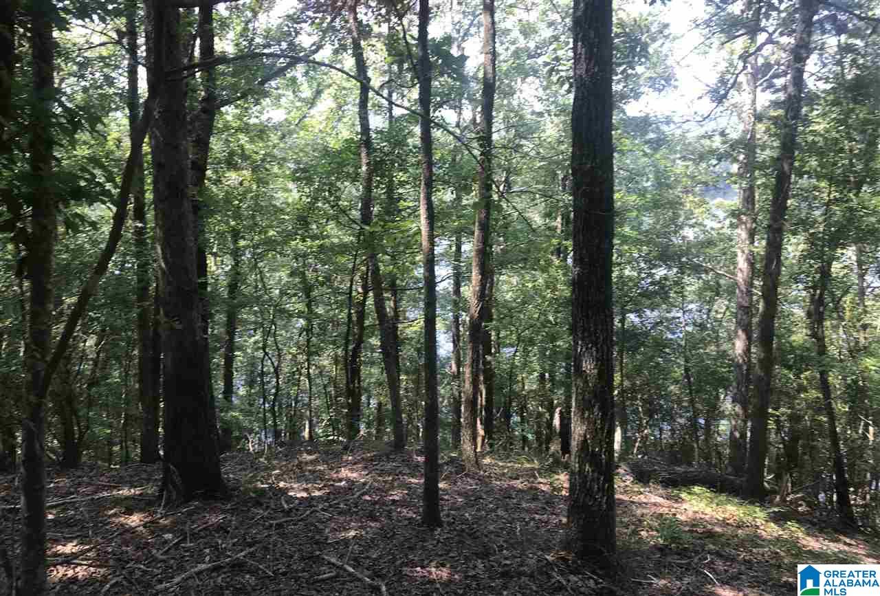 0 Sleepy Hollow Road, Unit 75 Rockford, AL 35136 - Photo 15 of 33