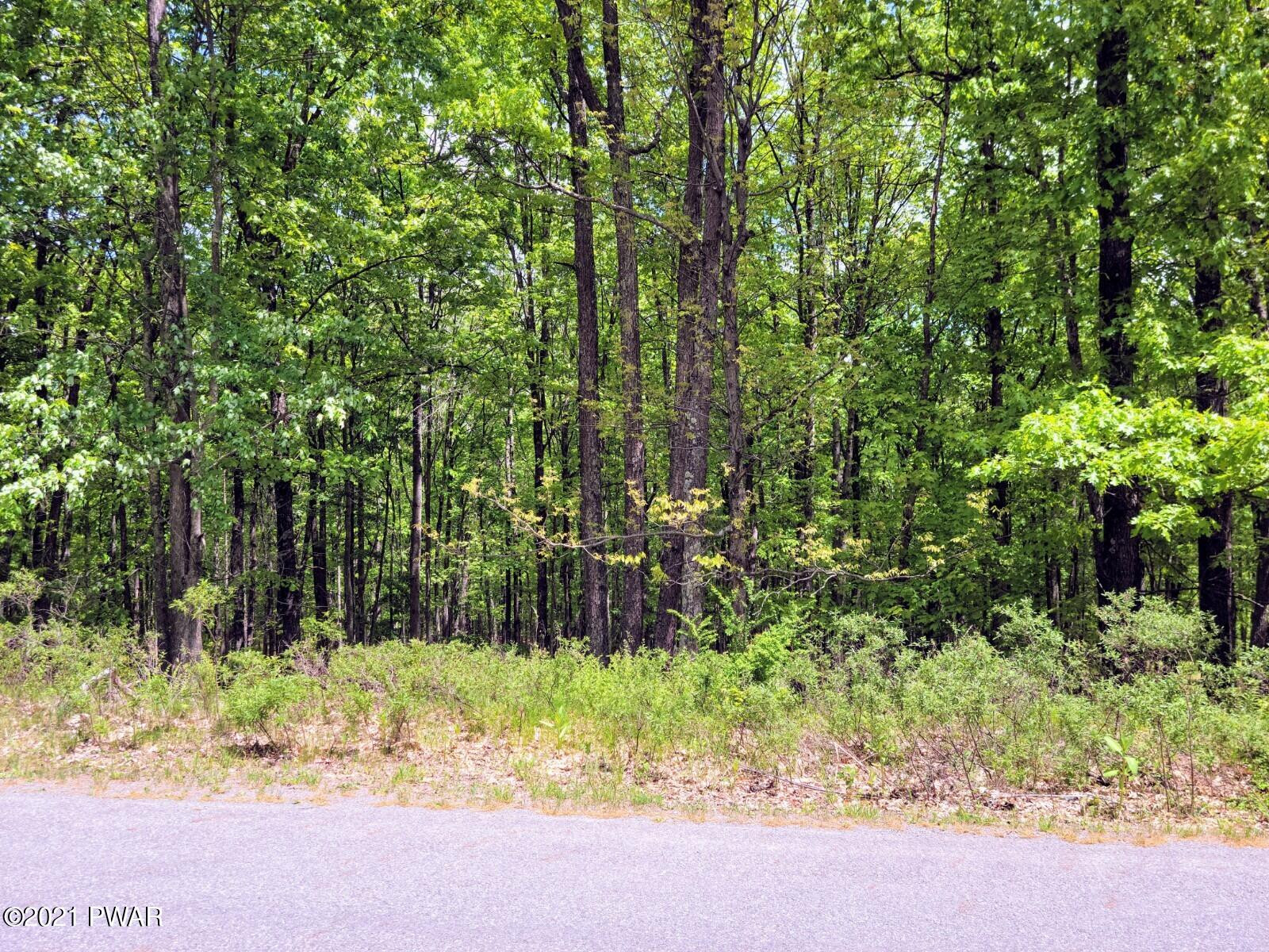 Lot 57 Deer Run Road Hawley, PA 18428 - Photo 4 of 6