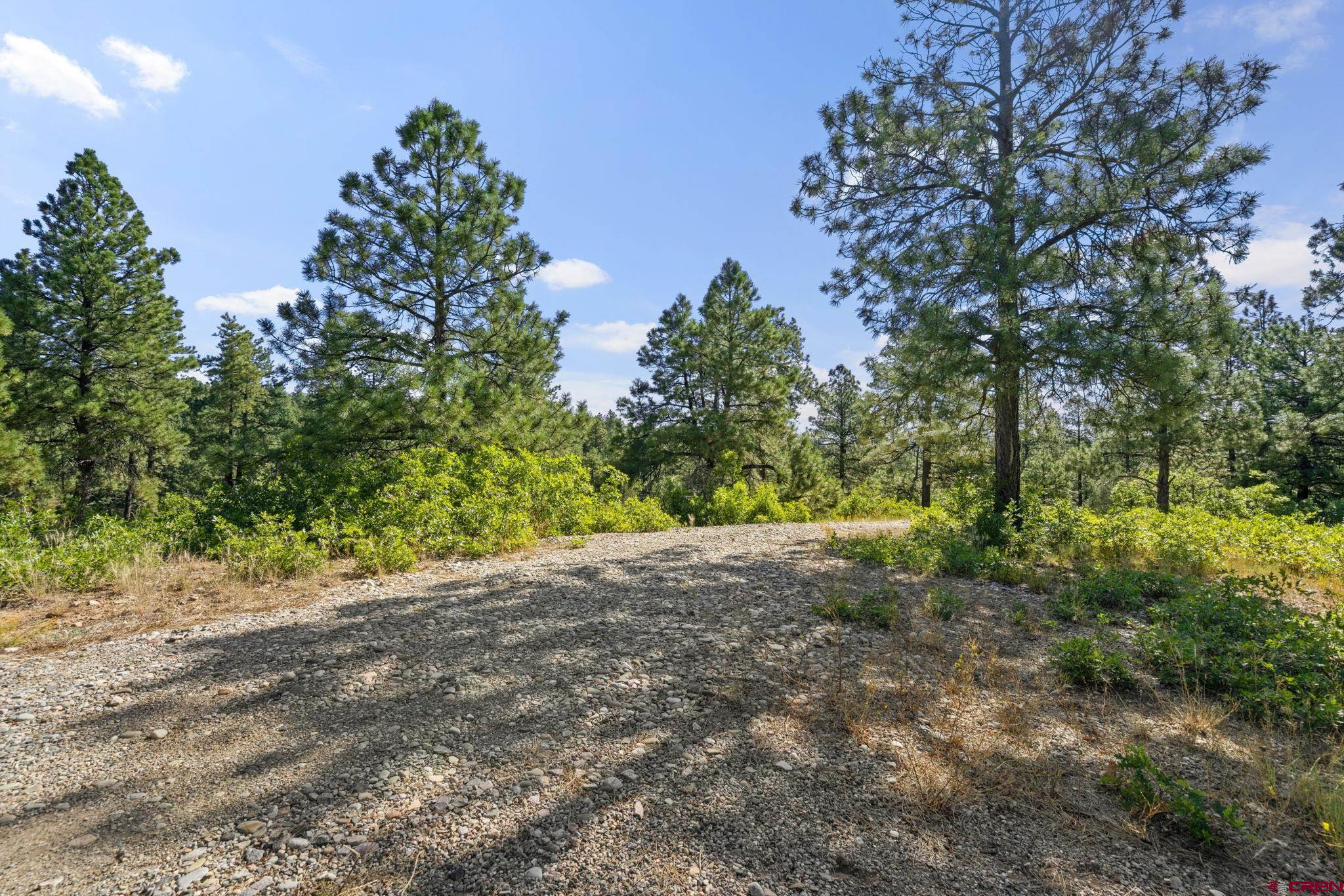 1102 Sheep Springs Road Durango, CO 81301 - Photo 16 of 34 Gallery Image 16