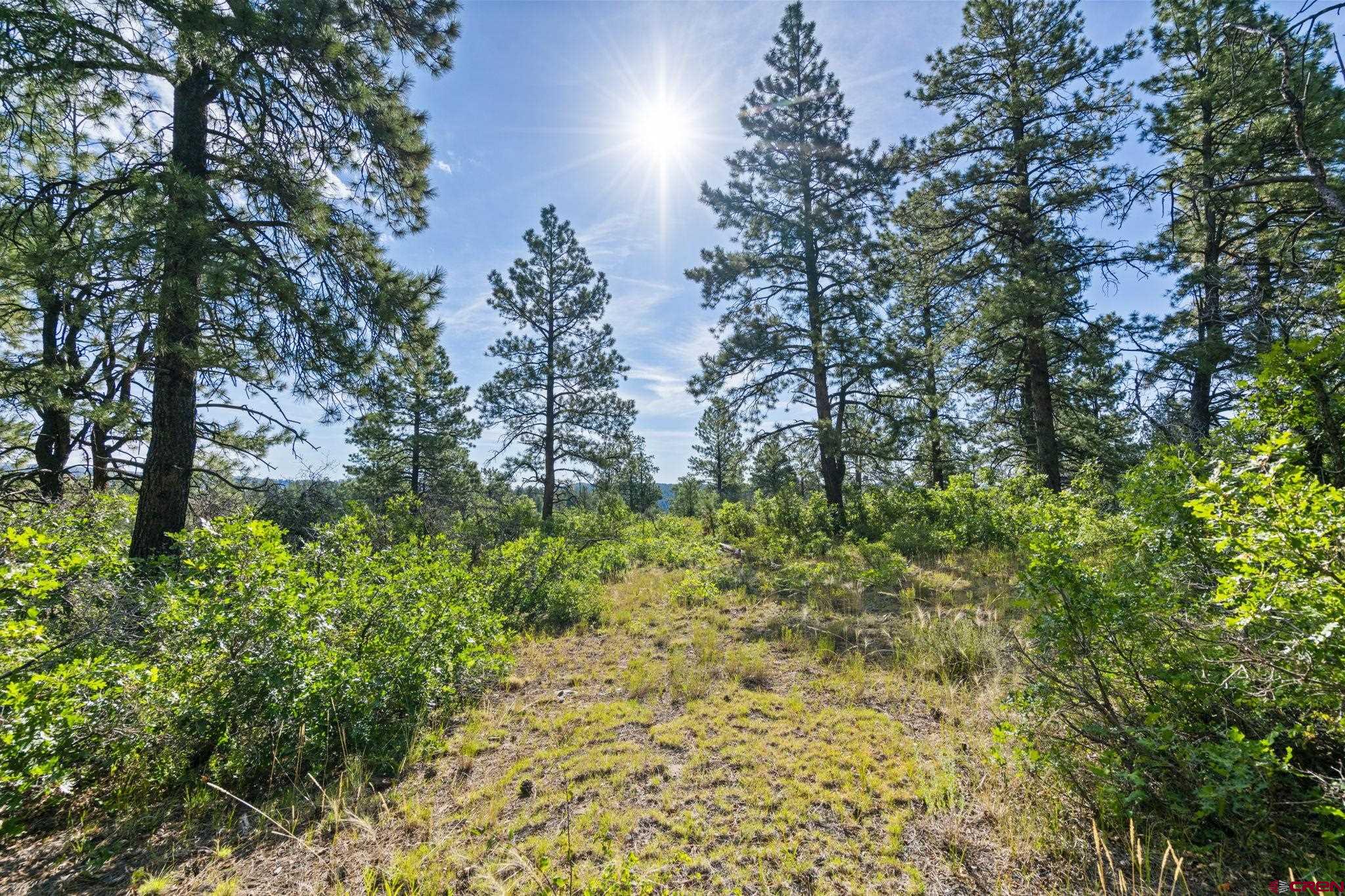 1102 Sheep Springs Road Durango, CO 81301 - Photo 17 of 34 Gallery Image 17