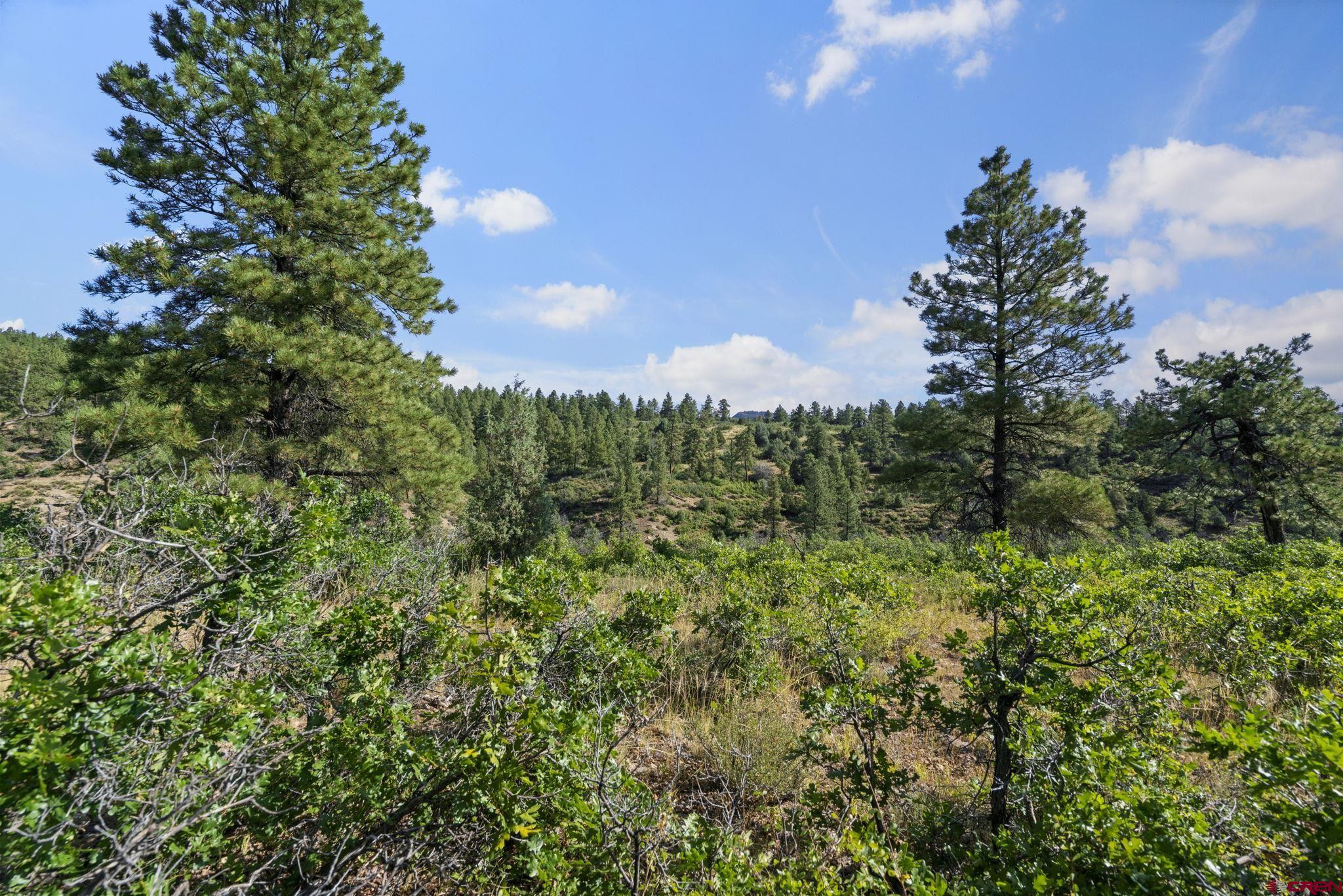 1102 Sheep Springs Road Durango, CO 81301 - Photo 20 of 34 Gallery Image 20