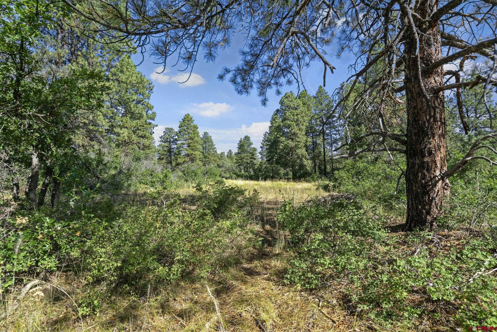 1102 Sheep Springs Road Durango, CO 81301 - Photo 21 of 34 Gallery Image 21