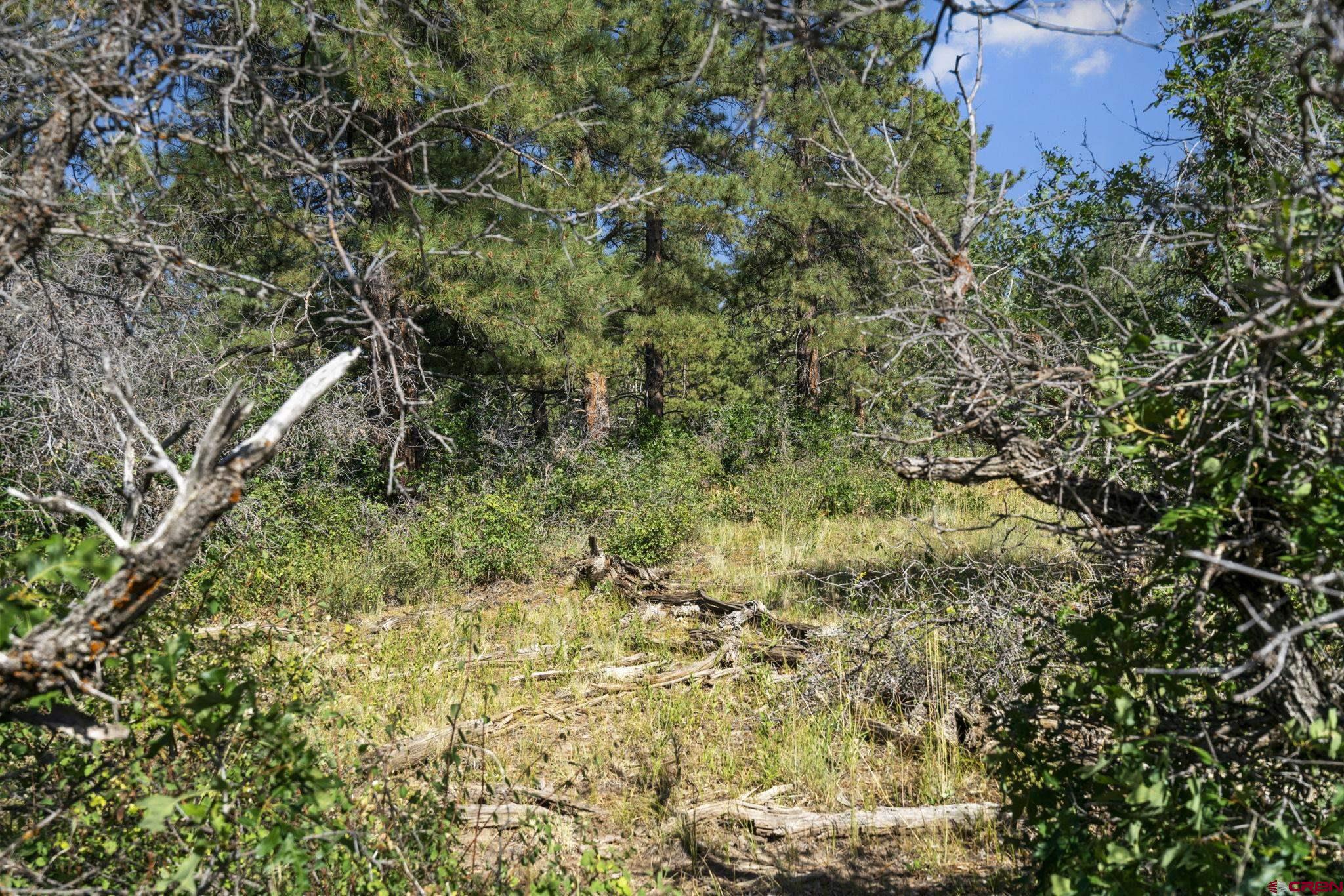 1102 Sheep Springs Road Durango, CO 81301 - Photo 24 of 34 Gallery Image 24