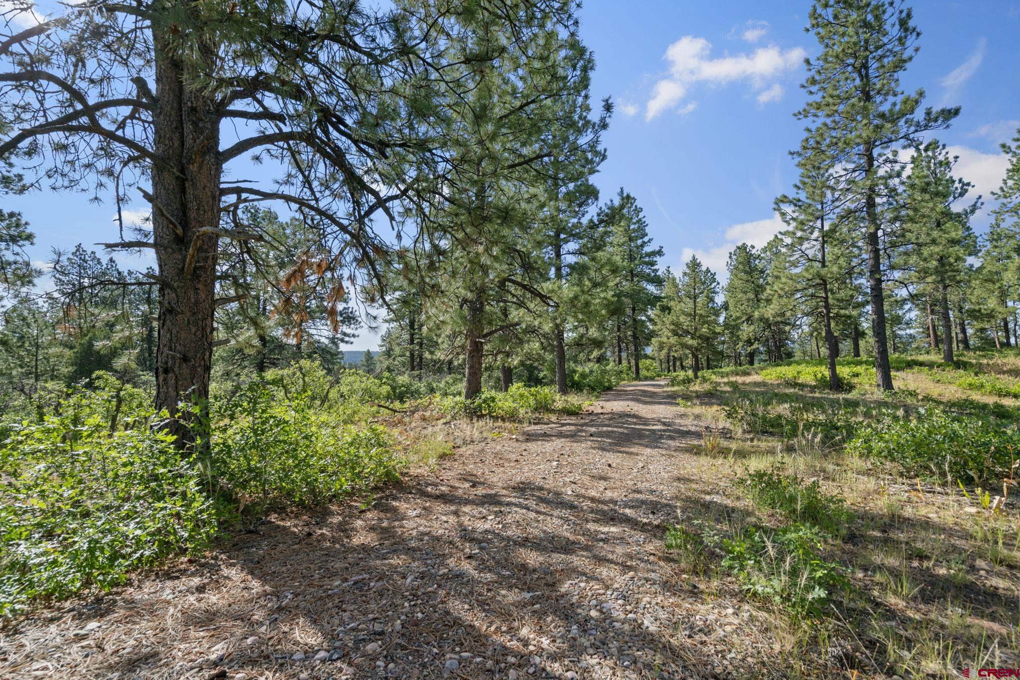 1102 Sheep Springs Road Durango, CO 81301 - Photo 7 of 34 Gallery Image 7