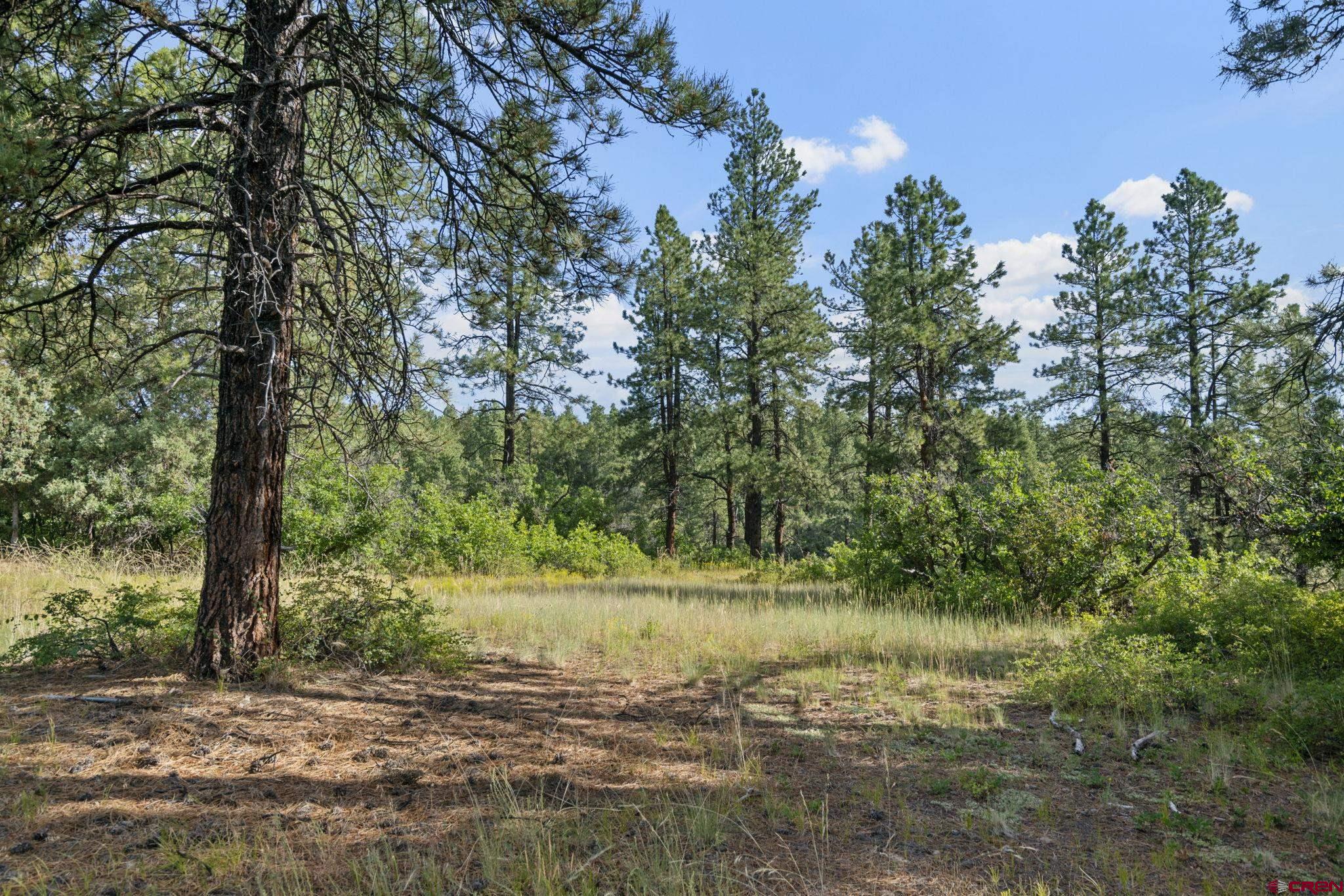 1102 Sheep Springs Road Durango, CO 81301 - Photo 10 of 34 Gallery Image 10