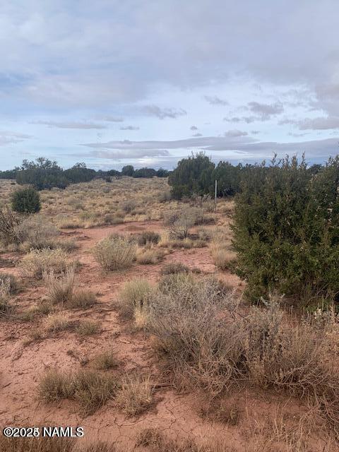 852 South Spruce Road Williams, AZ 86046 - Photo 3 of 5 20241203235623597989000000-o