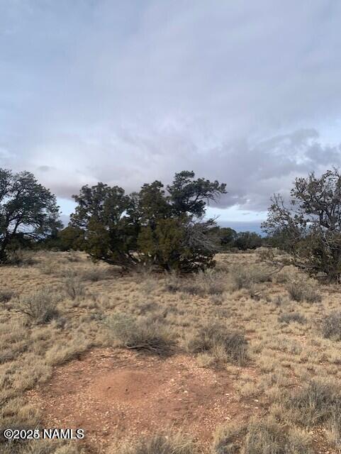 852 South Spruce Road Williams, AZ 86046 - Photo 4 of 5 20241203235635674928000000-o