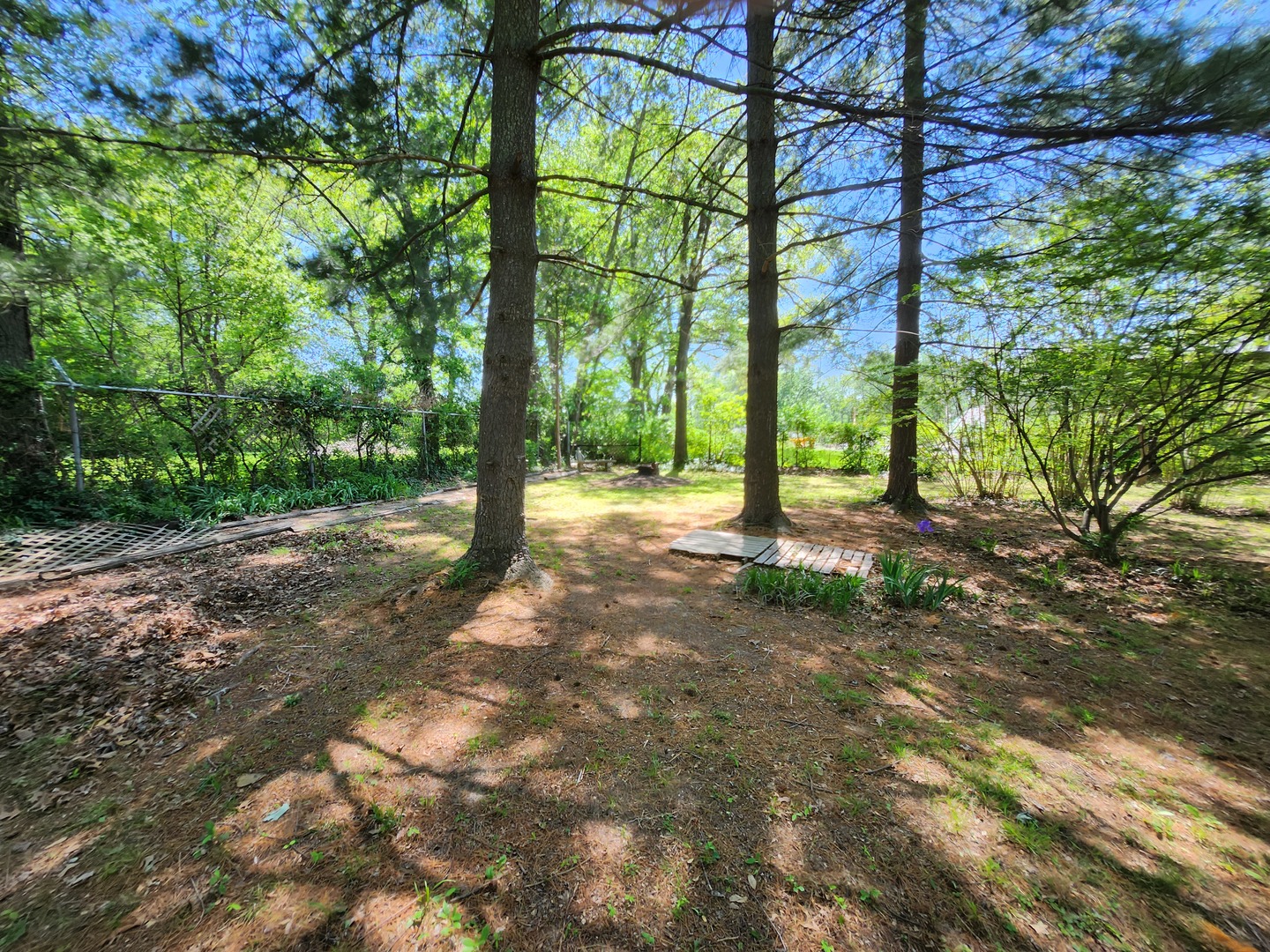 766 East Fairfield Road Mount Vernon, IL 62864 - Photo 94 of 134