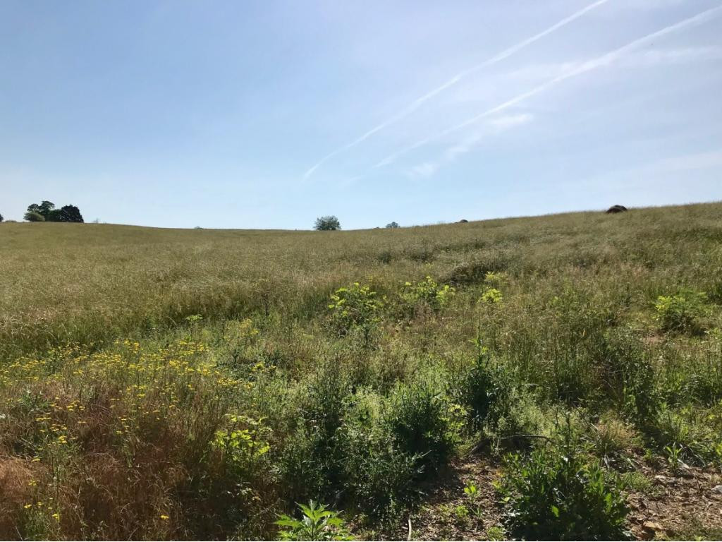 Tbd Henson Road, Unit 14 Bristol, TN 37620 - Photo 1 of 2 Photo 1