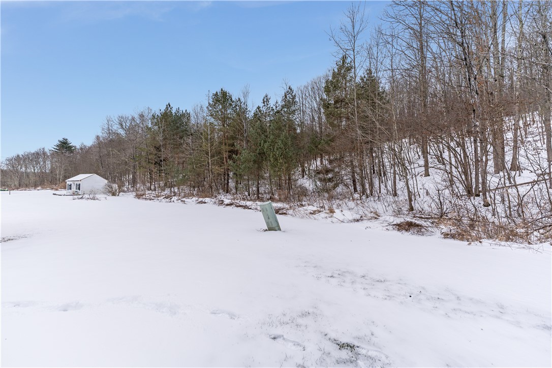 10217 Highway 38 Newark Valley, NY 13811 - Photo 5 of 23