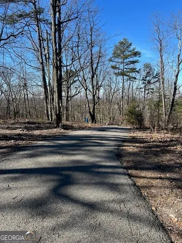 a view of backyard of house