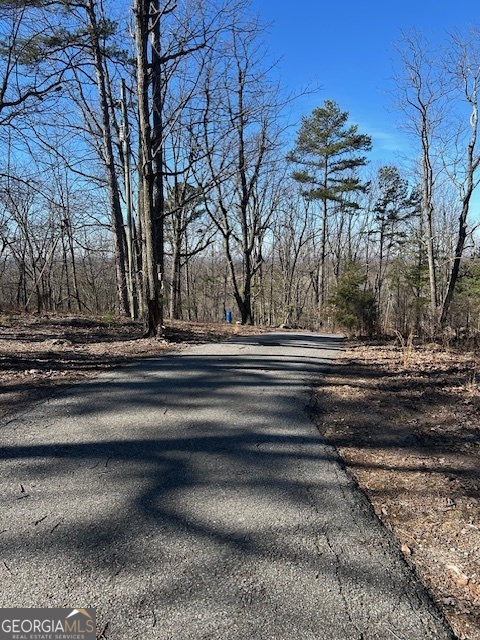 2695 Wildcat Bridge Road Royston, GA 30662 - Photo 11 of 12 a view of backyard of house
