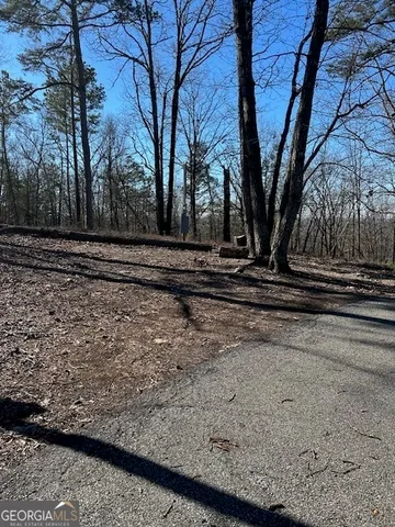 a view of a backyard of the house