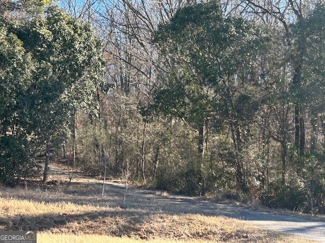 2695 Wildcat Bridge Road Royston, GA 30662 - Photo 2 of 12 a view of a yard with large trees