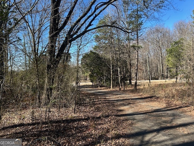 2695 Wildcat Bridge Road Royston, GA 30662 - Photo 3 of 12 a view of a yard with large trees