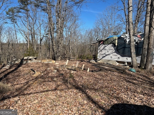 2695 Wildcat Bridge Road Royston, GA 30662 - Photo 4 of 12 a backyard of a house with lots of green space