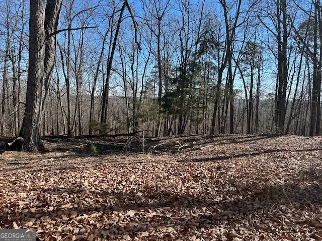 a view of a backyard of the house
