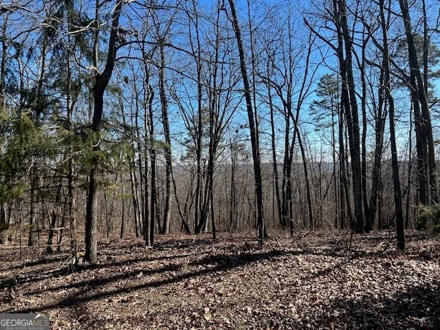 a view of a backyard of the house