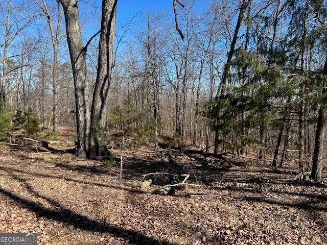 a view of a yard with trees