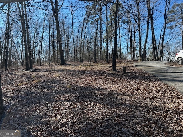 2695 Wildcat Bridge Road Royston, GA 30662 - Photo 10 of 12 a backyard of a house with lots of green space